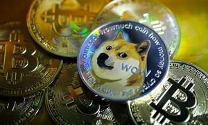 بالاخره قیمت دوج کوین زیاد می شود یا نه؟