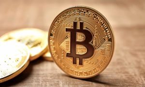 همه چیز به برای رشد قیمت بیت کوین آماده است