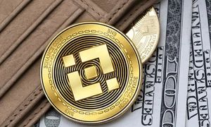 بایننس کوین یک میم کوین است؟
