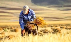 تمبر روز ملی نان رونمایی شد