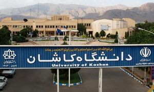 مارمولک در غذای دانشجویان + تصویر