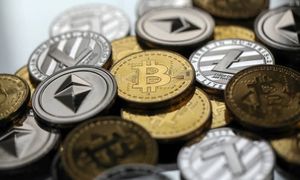 چند آلت کوین در سال 2025 نابود شدند؟