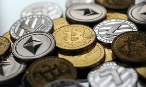 چند آلت کوین در سال 2025 نابود شدند؟