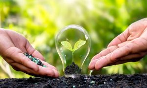 تاسیس هلدینگ تخصصی انرژی تجدیدپذیر مپنا با مشارکت بانک‌ های تجارت و ملت