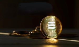 رشد قیمت سونیک با حمایت شدید کیف پول بایننس