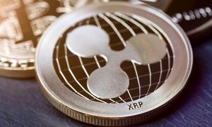 کدام توکن‌ ها را تحت نظر داشته باشیم؟
