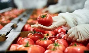 پرفروش‌ ترین شرکتهای صنایع غذایی ایران