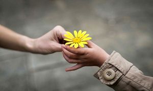 ارایه بسته های کمک معیشتی توسط ایران سمپلر