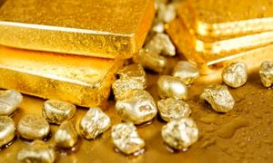 بازطراحی هویت بصری گلدیکا