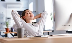 آغاز پیش‌ فروش کتاب «کار ایدئال من»