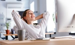 آغاز پیش‌ فروش کتاب «کار ایدئال من»