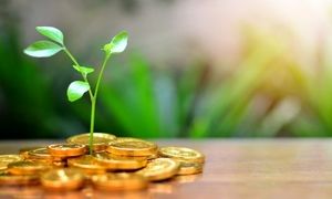 واریز سود تیر ماه صندوق حکمت آشنا ایرانیان