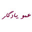 فروشگاه عمویادگار بانه