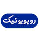 آکادمی روبویونیک