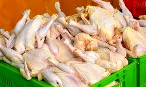 مرغ 30 هزار تومانی گران فروشی است