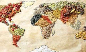 خطر بیخ گوش امنیت غذایی جهان