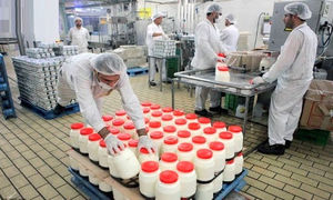 با این ۹ نکته خواندنی، لبنیات چوپان را بهتر بشناسید