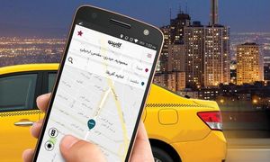 همه آنچه باید درباره کارپینو بدانید