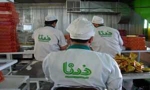 14 نکته که باید درباره کیک و کلوچه درنا بدانید