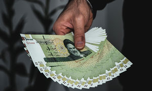 یک یارانه جدید در راه است